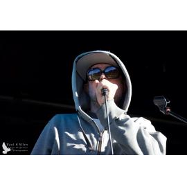 Waitati Music Festival by Paul S Allen: Psycho King Dogs