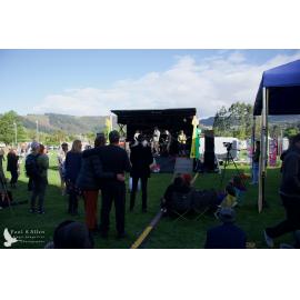 Waitati Music Festival by Paul S Allen: Psycho King Dogs