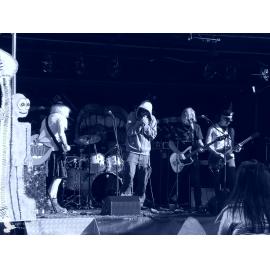 Waitati Music Festival by Paul S Allen: Psycho King Dogs