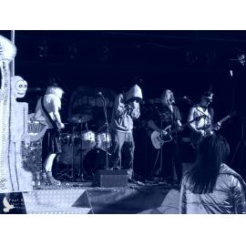 Waitati Music Festival by Paul S Allen: Psycho King Dogs