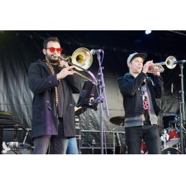 Waitati Music Festival by Paul S Allen: Raw Collective