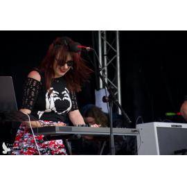 Waitati Music Festival by Paul S Allen: Robots in Love