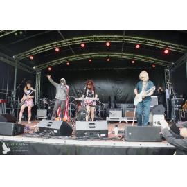 Waitati Music Festival by Paul S Allen: Robots in Love