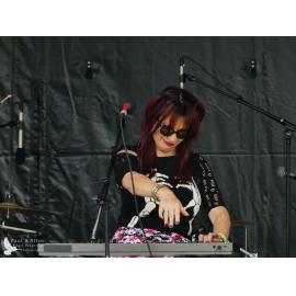 Waitati Music Festival by Paul S Allen: Robots in Love