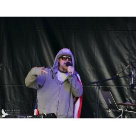 Waitati Music Festival by Paul S Allen: Robots in Love