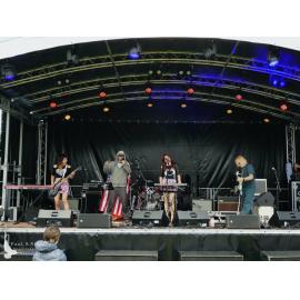 Waitati Music Festival by Paul S Allen: Robots in Love