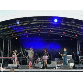 Waitati Music Festival by Paul S Allen: Robots in Love