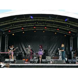 Waitati Music Festival by Paul S Allen: Robots in Love