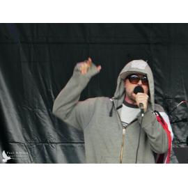 Waitati Music Festival by Paul S Allen: Robots in Love