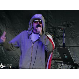 Waitati Music Festival by Paul S Allen: Robots in Love