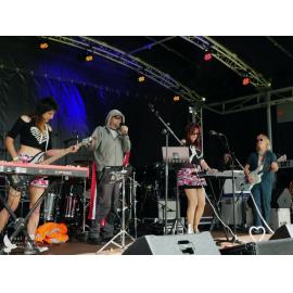 Waitati Music Festival by Paul S Allen: Robots in Love