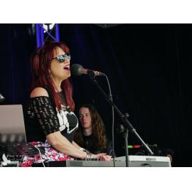 Waitati Music Festival by Paul S Allen: Robots in Love