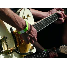 Waitati Music Festival by Paul S Allen: Shakes and the Trouble Makers