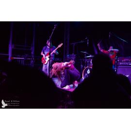 Waitati Music Festival by Paul S Allen: Soul Kitchen