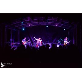 Waitati Music Festival by Paul S Allen: Soul Kitchen