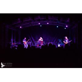 Waitati Music Festival by Paul S Allen: Soul Kitchen