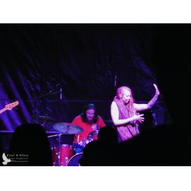 Waitati Music Festival by Paul S Allen: Soul Kitchen