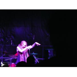 Waitati Music Festival by Paul S Allen: Soul Kitchen