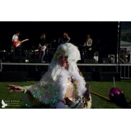 Waitati Music Festival by Paul S Allen: Tahu and the Takahes