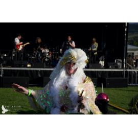 Waitati Music Festival by Paul S Allen: Tahu and the Takahes