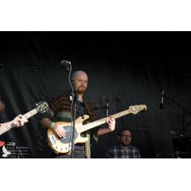 Waitati Music Festival by Paul S Allen: Tahu and the Takahes