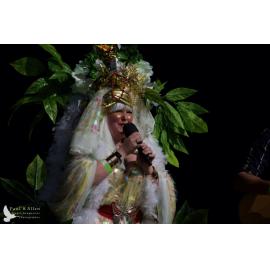 Waitati Music Festival by Paul S Allen: Tahu and the Takahes