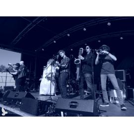 Waitati Music Festival by Paul S Allen: Tahu and the Takahes