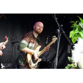 Waitati Music Festival by Paul S Allen: Tahu and the Takahes