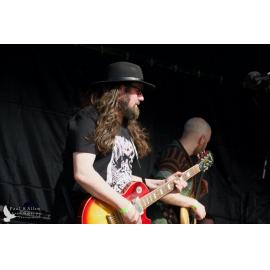 Waitati Music Festival by Paul S Allen: Tahu and the Takahes