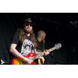 Waitati Music Festival by Paul S Allen: Tahu and the Takahes