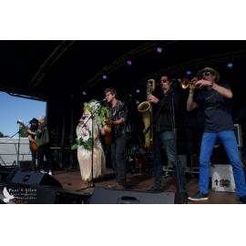 Waitati Music Festival by Paul S Allen: Tahu and the Takahes