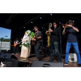 Waitati Music Festival by Paul S Allen: Tahu and the Takahes