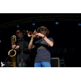 Waitati Music Festival by Paul S Allen: Tahu and the Takahes