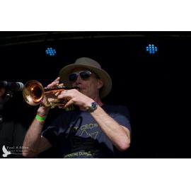 Waitati Music Festival by Paul S Allen: Tahu and the Takahes