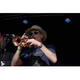 Waitati Music Festival by Paul S Allen: Tahu and the Takahes