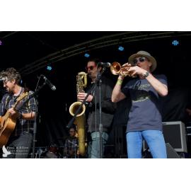 Waitati Music Festival by Paul S Allen: Tahu and the Takahes