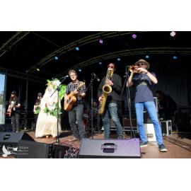 Waitati Music Festival by Paul S Allen: Tahu and the Takahes