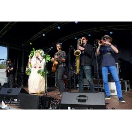 Waitati Music Festival by Paul S Allen: Tahu and the Takahes