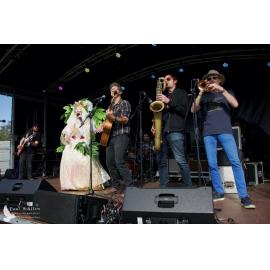 Waitati Music Festival by Paul S Allen: Tahu and the Takahes