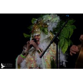Waitati Music Festival by Paul S Allen: Tahu and the Takahes