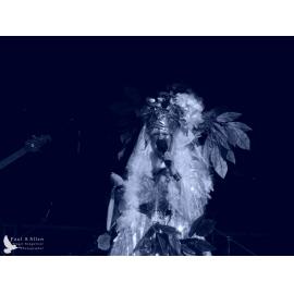 Waitati Music Festival by Paul S Allen: Tahu and the Takahes