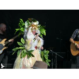 Waitati Music Festival by Paul S Allen: Tahu and the Takahes