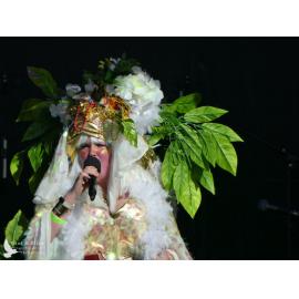 Waitati Music Festival by Paul S Allen: Tahu and the Takahes