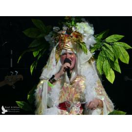 Waitati Music Festival by Paul S Allen: Tahu and the Takahes