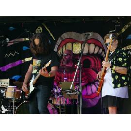 Waitati Music Festival by Paul S Allen: The Mason Cooper Disaster