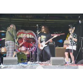 Waitati Music Festival by Paul S Allen: The Mason Cooper Disaster