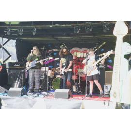 Waitati Music Festival by Paul S Allen: The Mason Cooper Disaster