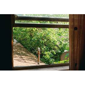 International Mother Language Day 21 February 2023 – Cities of Literature chain poem