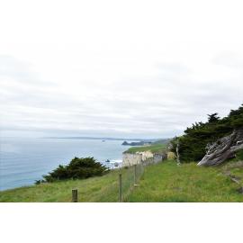 Looking south from Cargill's Castle