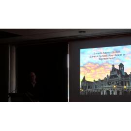 Visions for Dunedin: Dunedin Railway Station: Material Complexities – Repair or Replacement?